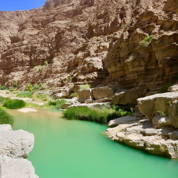 Salalah Tour tour image 2
