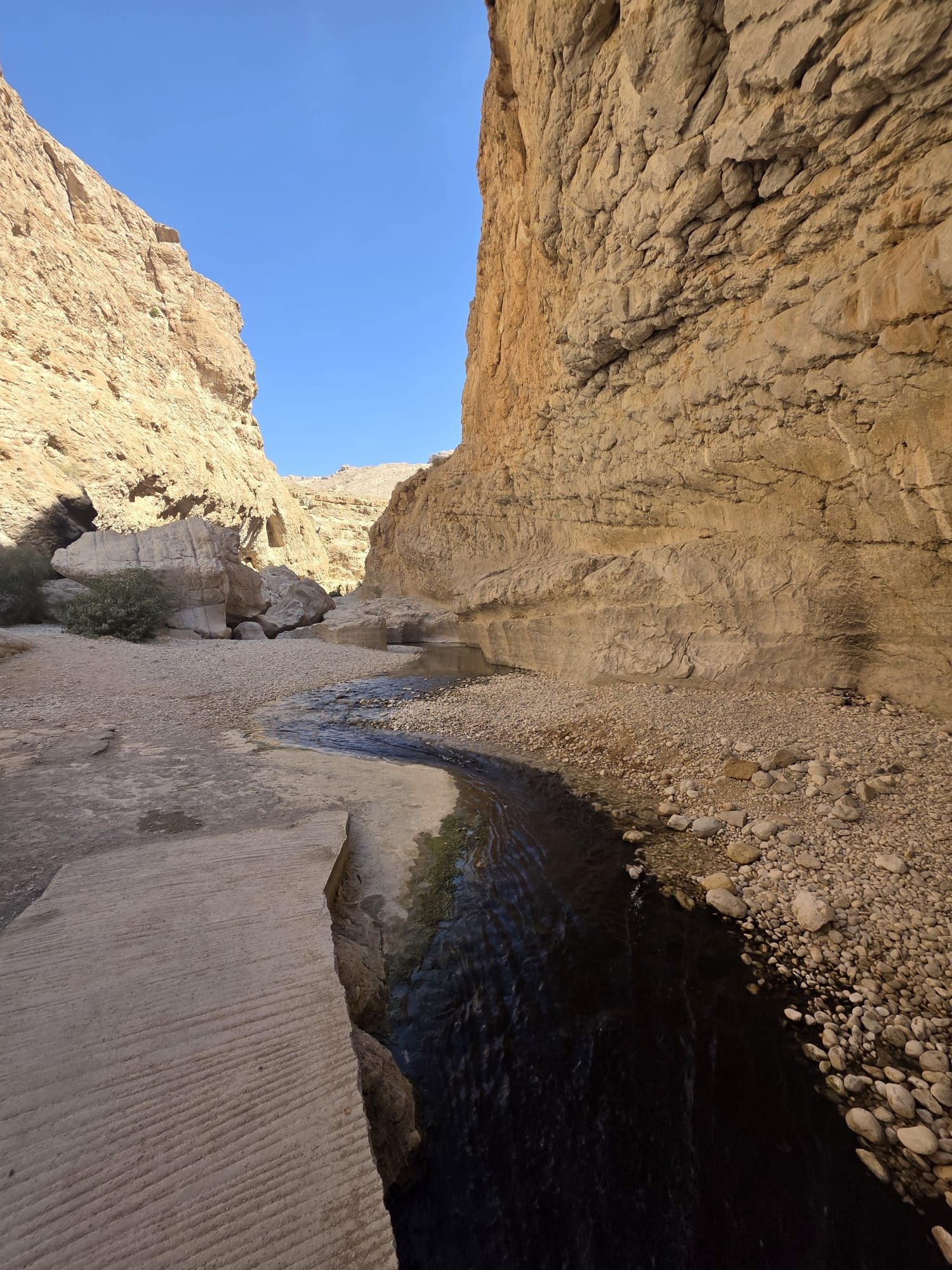 Wadi Bani Khalid & Wahiba Sands Desert Experience tour image 4