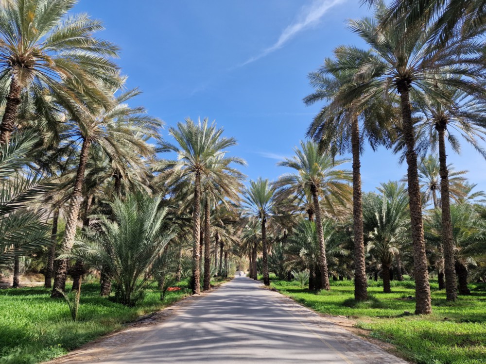 Misfat – Jabal Shams & Jibreen Tour