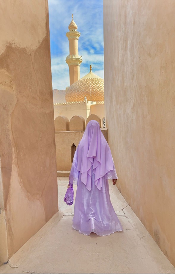 Nizwa, Birkat Al Mouz and Al Jabal Al Akhder Tour